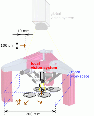 Local vision system